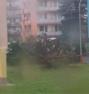 Strom vyvalený po búrke.