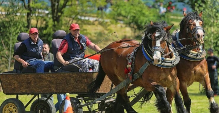10. ročník furmanských pretekov ťažných koní Morovnianska podkova 2015, ktoré sa konali v sobotu 16. mája 2015 v mestskej časti Handlovej - Morovno.