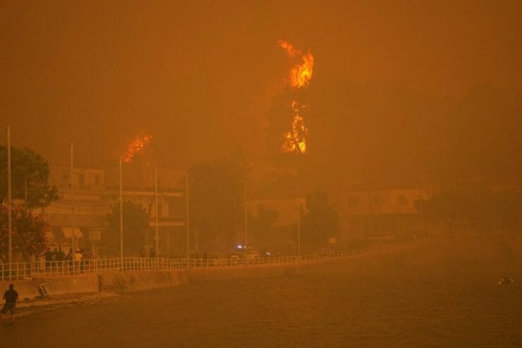 Horiace stromy pri pláži počas lesného požiaru v dedine Pefki na gréckom ostrove Evia