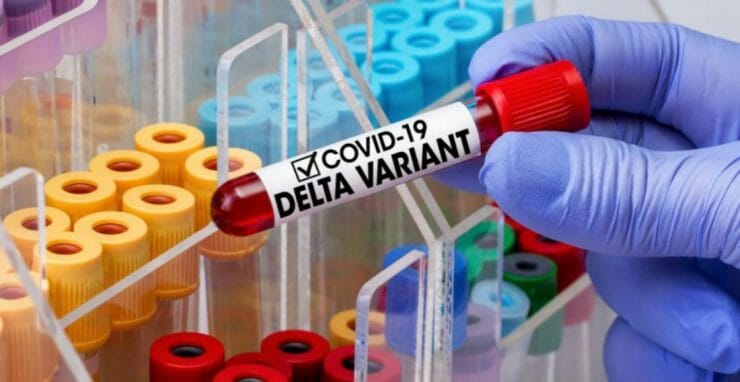 Delta variant, covid, koronavírus