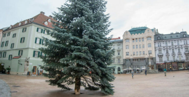 Na Hlavnom námestí v Bratislave osadili vianočný stromček v utorok 2. novembra 2021.
