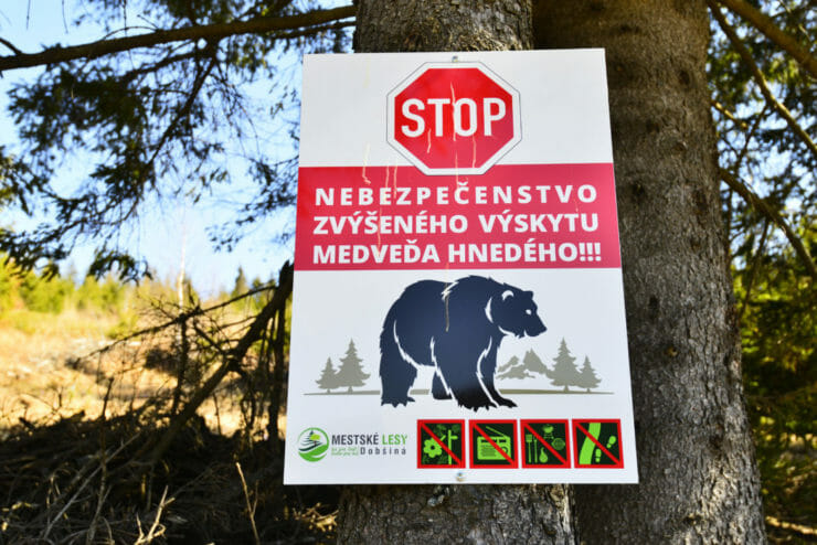 Na ilustračnej snímke tabuľa upozorňujúca na možný výskyt medveďov na Voniarkach pri Dobšinskej Maši, 18. apríla 2022.
