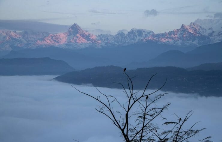 Na archívnej snímke z 1. januára 2022 vtáci sedia na konároch stromov pred horským masívom neďaleko mesta Pokhara v Nepále.