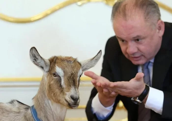Andrej Kiska s kozou v Prezidentskom paláci.