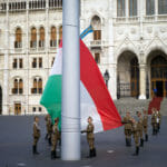 Vztýčením štátnej vlajky s vojenskou poctou pred parlamentom v Budapešti za účasti maďarského prezidenta Jánosa Ádera sa začali v sobotu 4. júna 2016 oficiálne podujatia Dňa spolupatričnosti.
