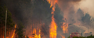 hasiči sa snažia uhasiť plamene šíriace sa v lesnom poraste počas lesného požiaru