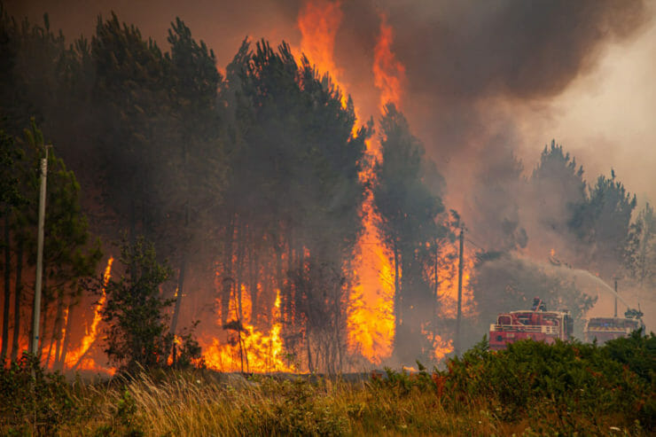 hasiči sa snažia uhasiť plamene šíriace sa v lesnom poraste počas lesného požiaru