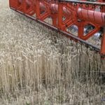 Na snímke žatva pšenice na poli neďaleko obce Michaľany v okrese Trebišov 9. júla 2022.