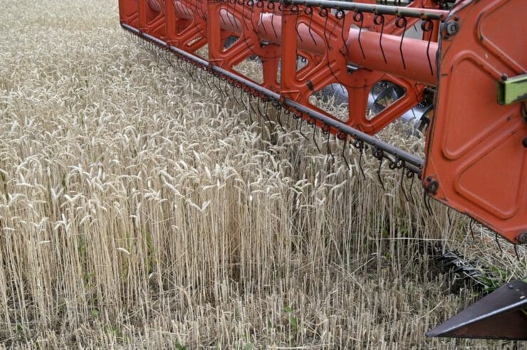 Na snímke žatva pšenice na poli neďaleko obce Michaľany v okrese Trebišov 9. júla 2022.