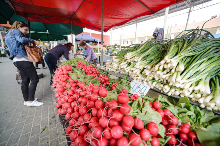 Predaj ovocia, zeleniny a priesad na mestskej tržnici v Nitre 2. mája 2014.