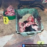 Policajné zábery mäsa z týraných psov v rómskej osade pri Prešove.