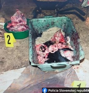 Policajné zábery mäsa z týraných psov v rómskej osade pri Prešove.