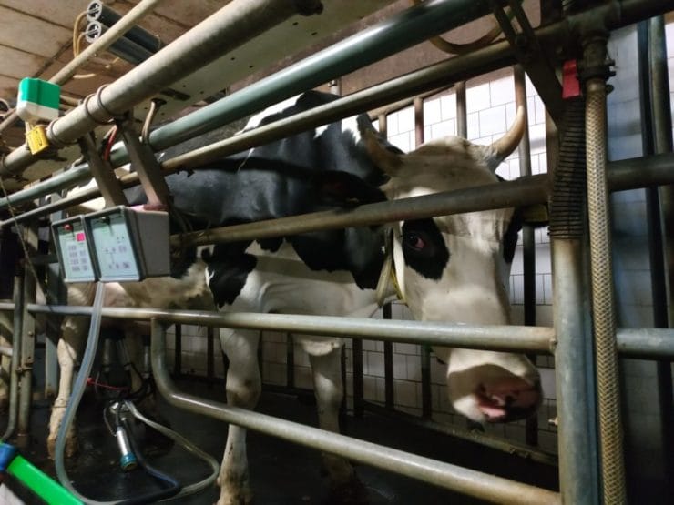 Združenie mladých farmárov na Slovensku - ASYF