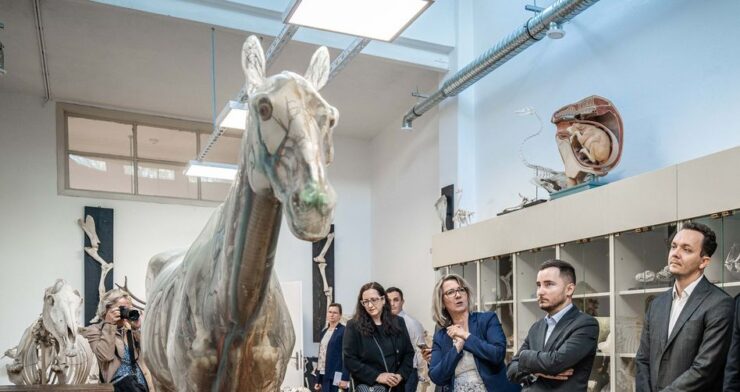 Univerzita veterinárskeho lekárstva a farmácie v Košiciach