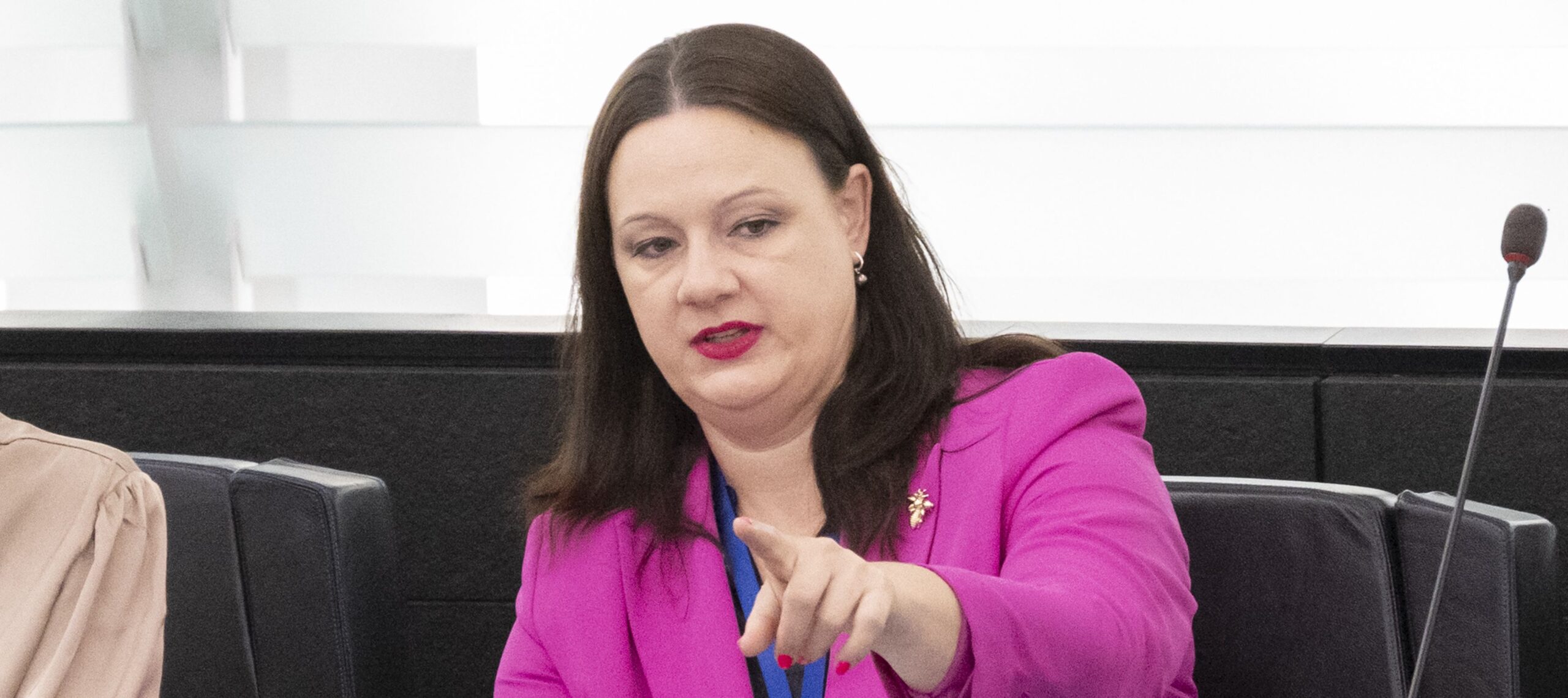 Roth Neveďalov&aacute;: Niektor&iacute; zahraničn&iacute; europoslanci by chceli ovplyvniť voľby na Slovensku | Spr&aacute;vy z domova
