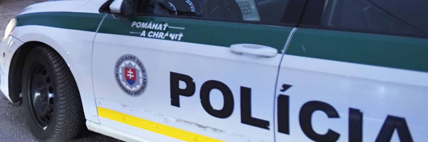 Na snímke policajná akcia