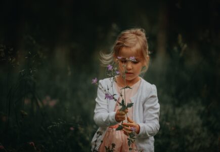 ilustračná foto, pixabay.com