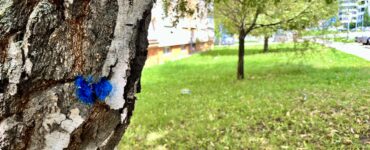 redakcia eReport Trnava