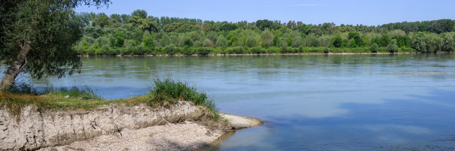 Dunaj