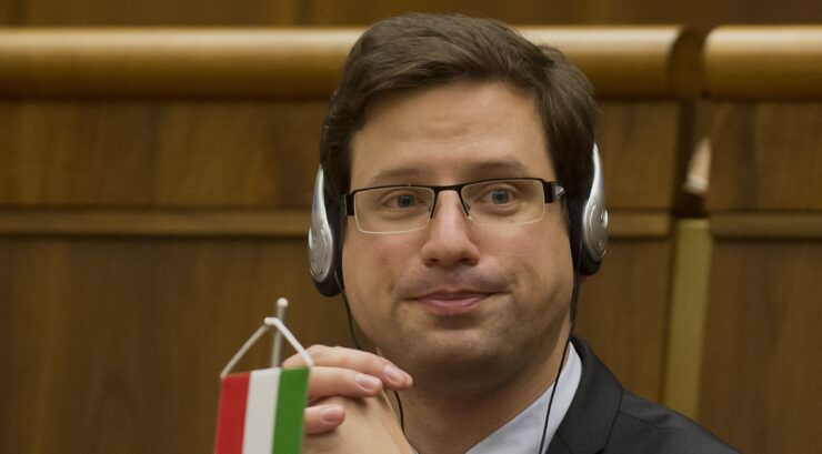 Gergely Gulyás
